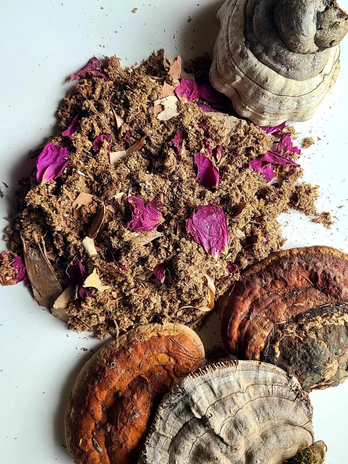 Thé de Quatre – Bitter Mushroom Blend image 1