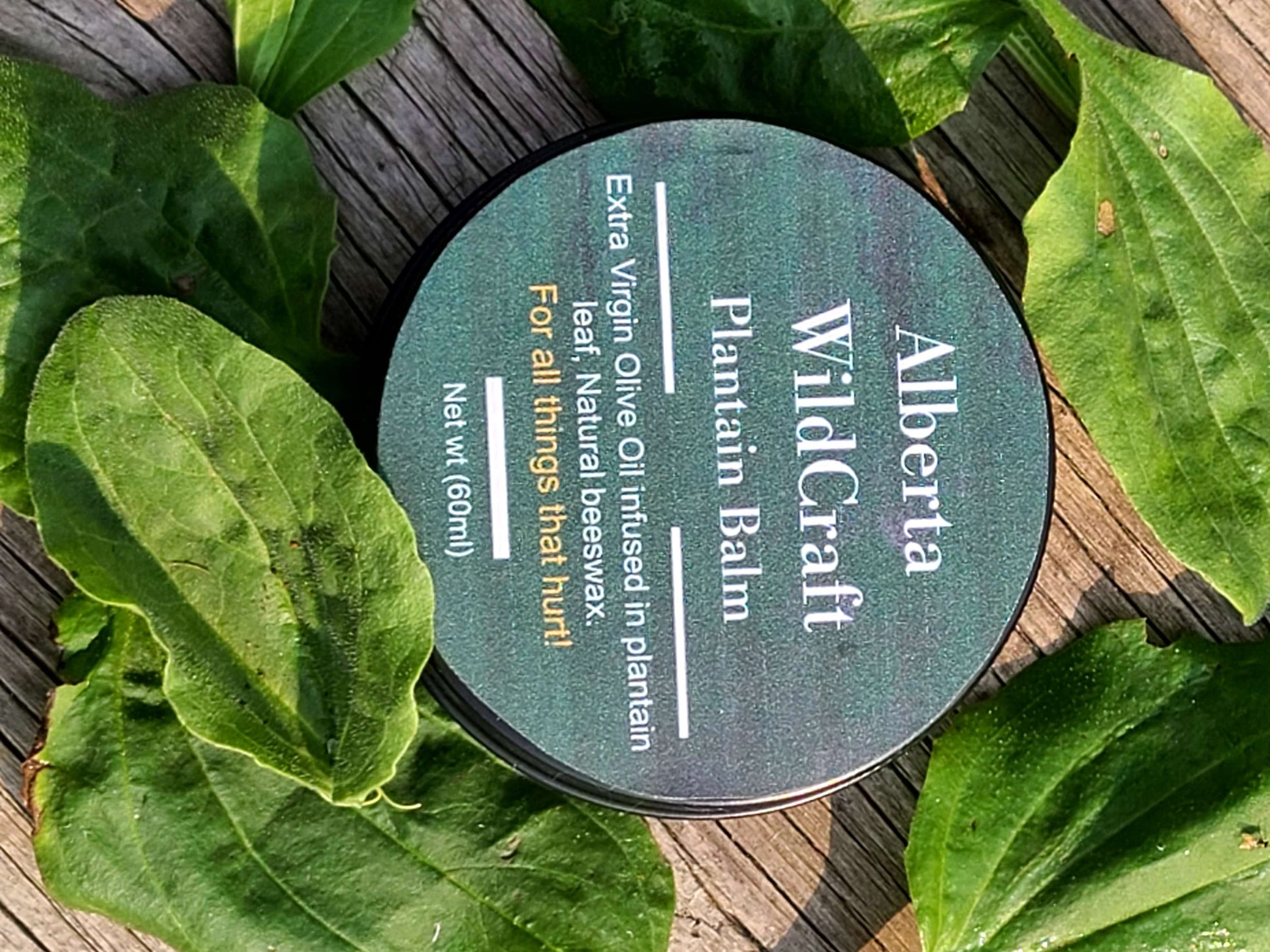 Plantain Herbal Balm image 2