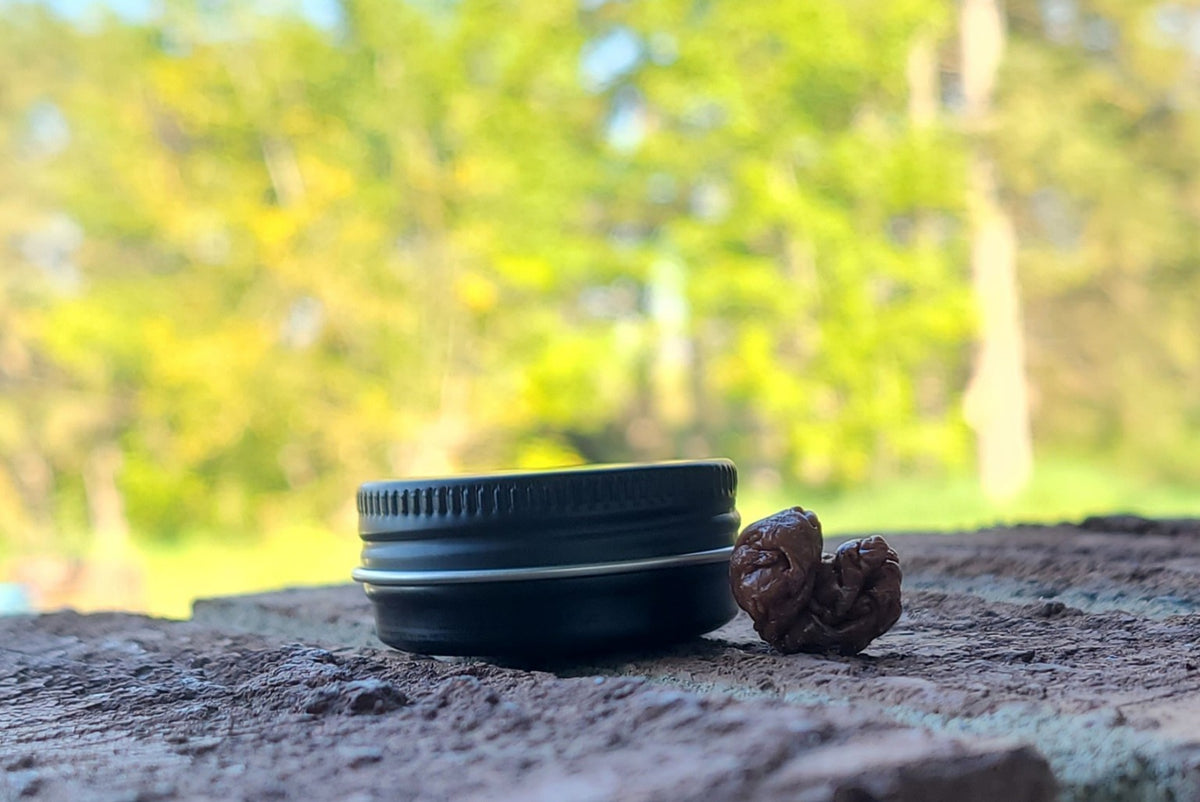 Chew Cache | Reusable Spruce Gum Storage Tin