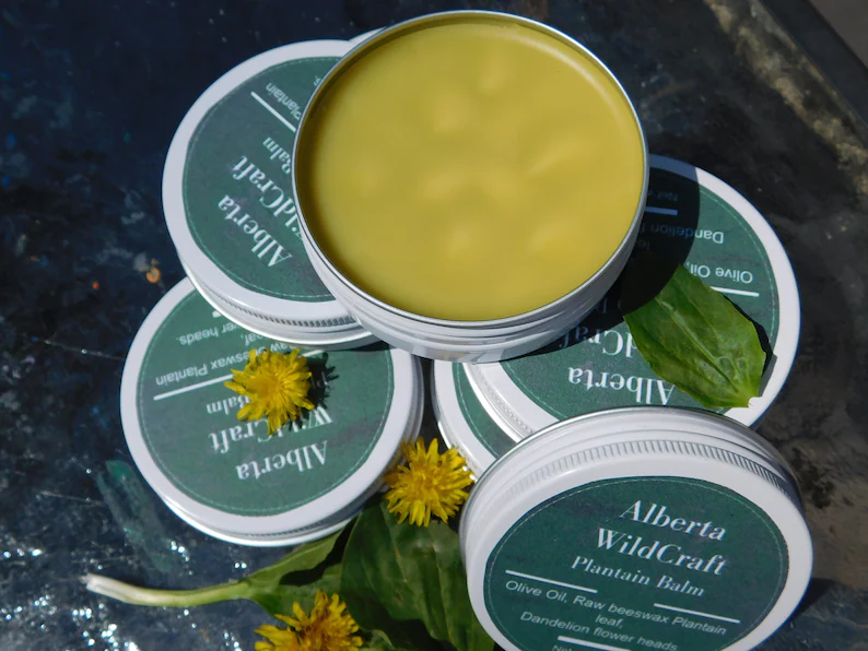 Plantain and Dandelion balm image 0