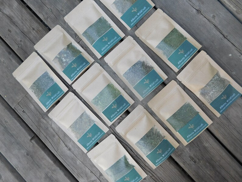 Wild Herbal Tea- SAMPLE PACKS image 0