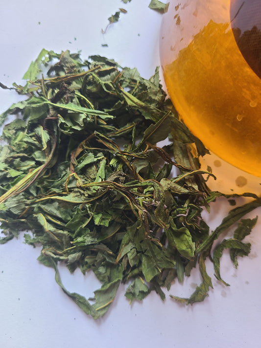 Fermented Fireweed Herbal Tea / Ivan Chai image 0