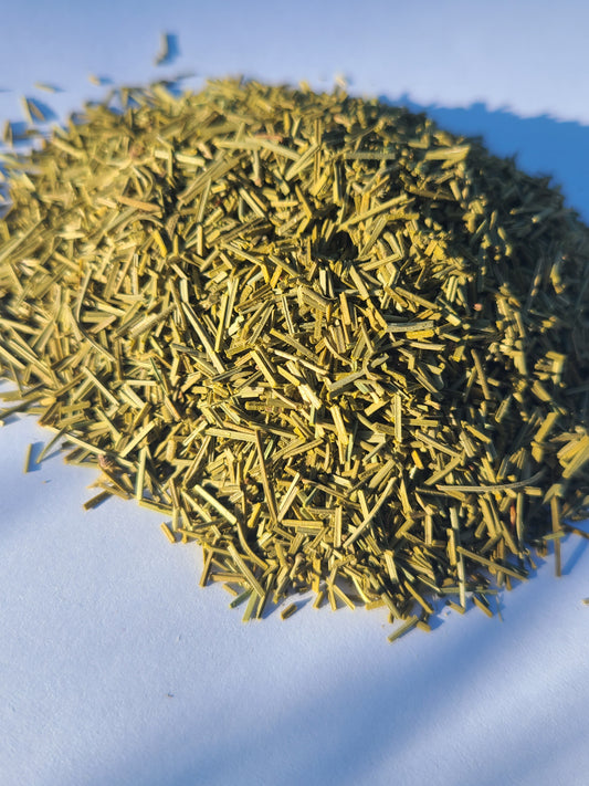 White Pine Needle Tea | Caffeine-Free | Vitamin C-Rich image 0