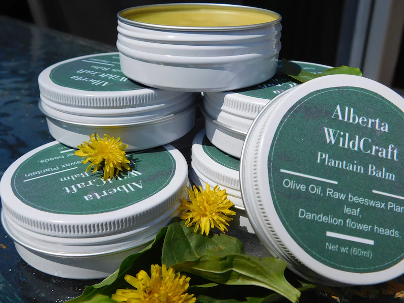 Plantain and Dandelion balm image 1