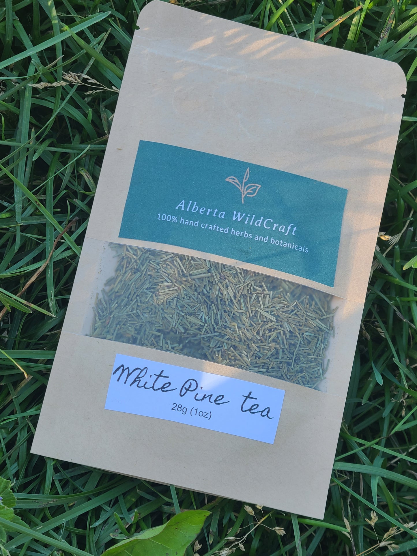 White Pine Needle Tea  | Caffeine-Free | Vitamin C-Rich image 1
