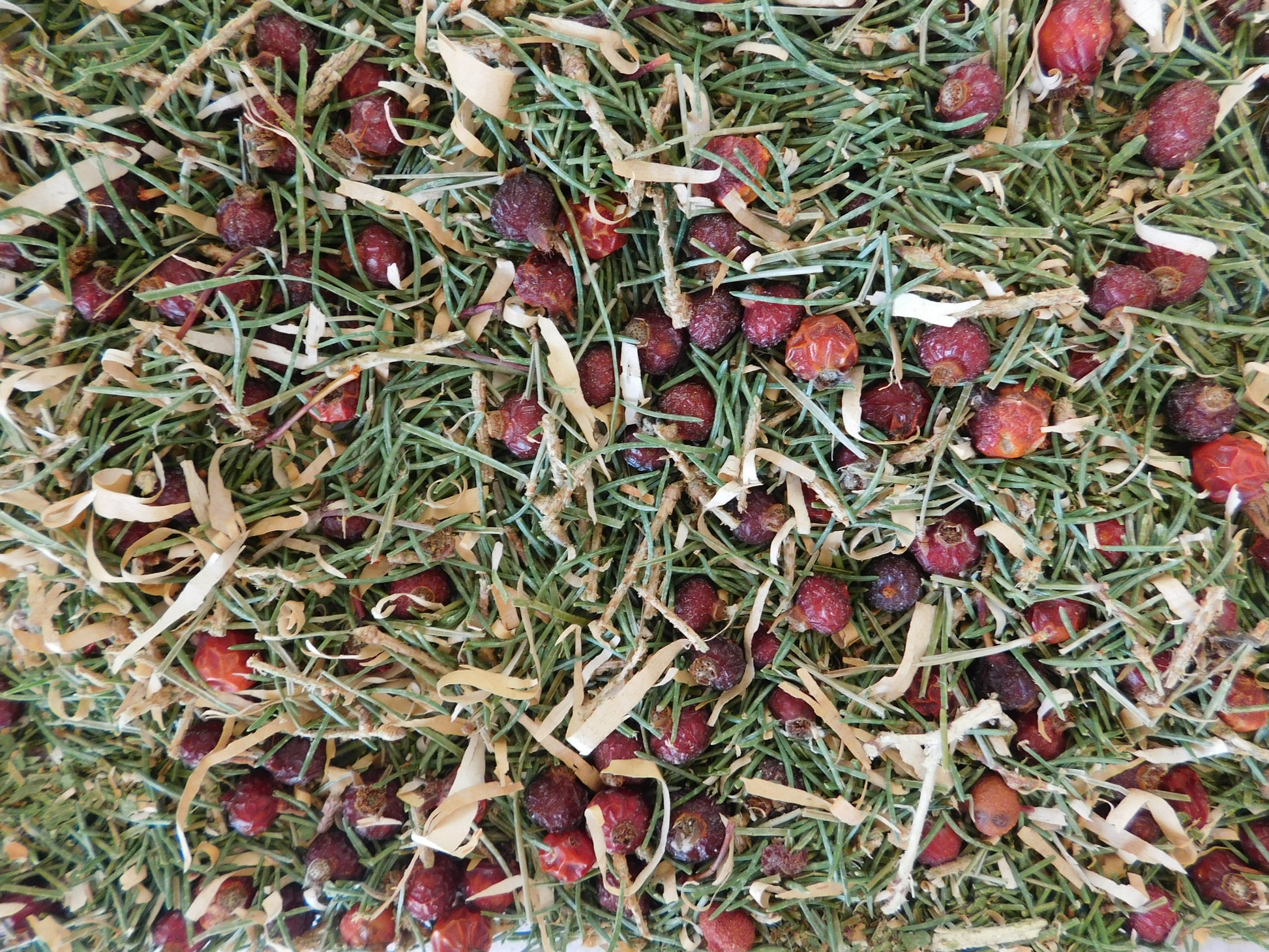 Boreal Blend herbal tea image 2