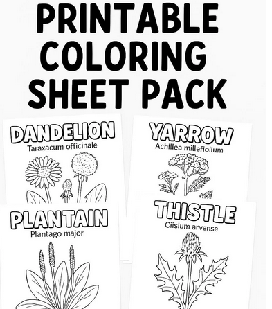 Wildcraft Kids: Backyard Herb Hunt – Printable Coloring Sheet Pack