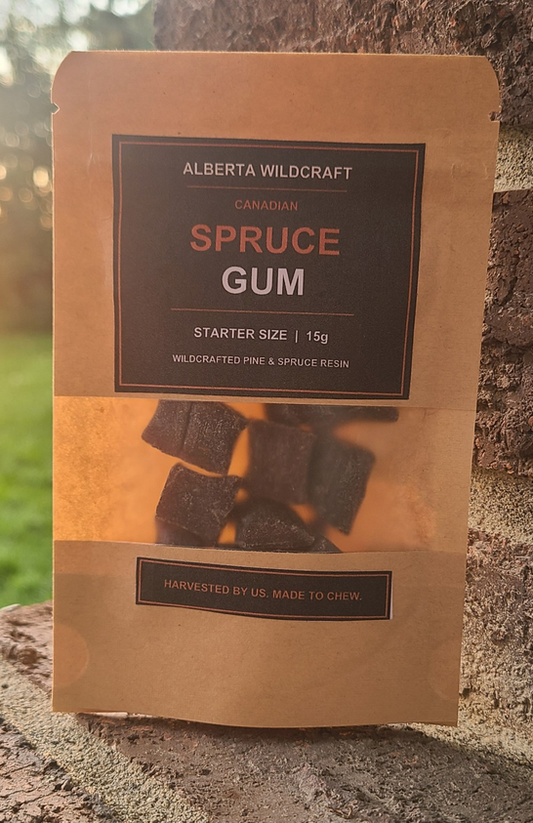 Canadian Spruce Gum - Starter Size (15g)
