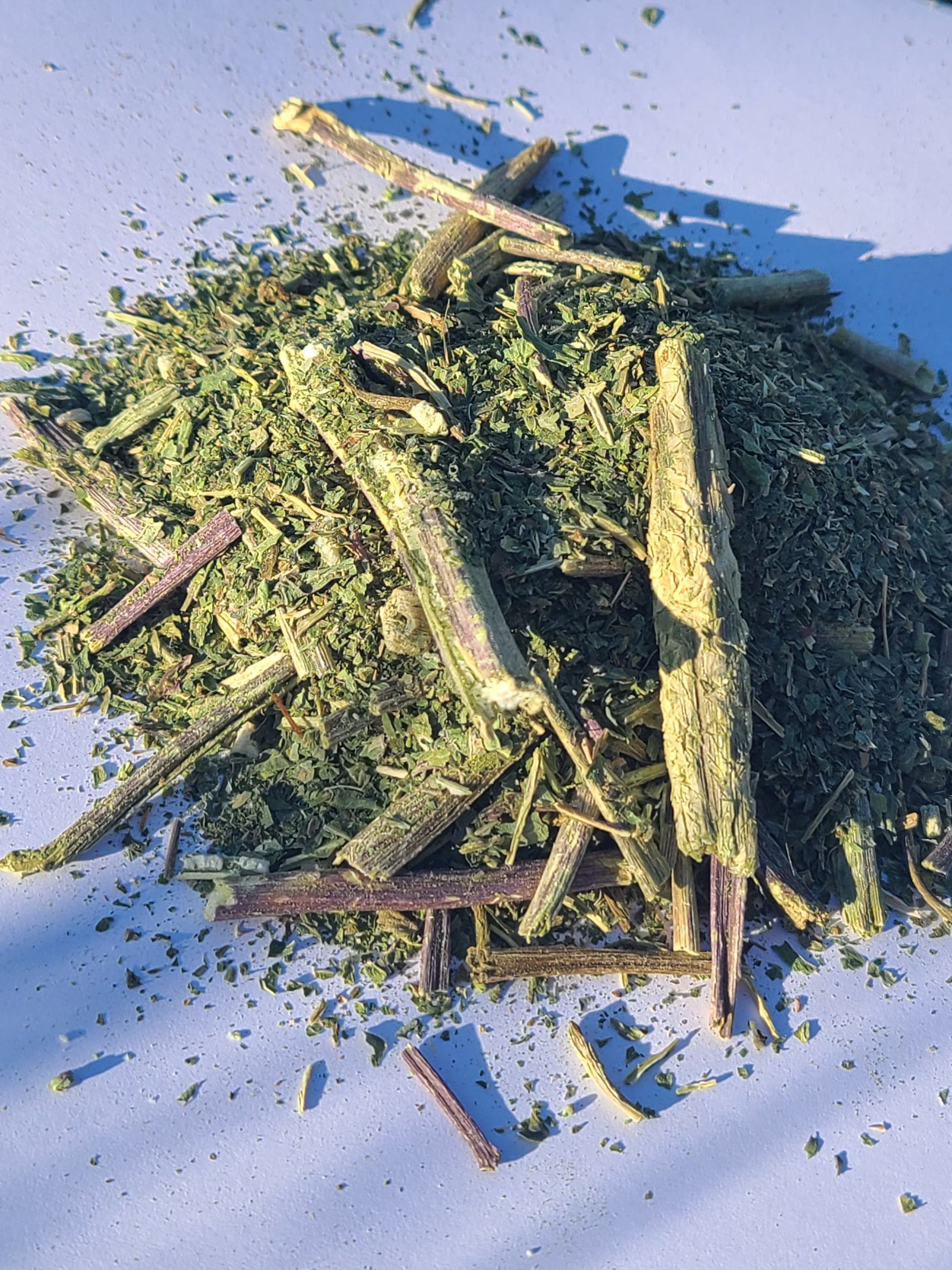 Prickly Wild Lettuce (Lactuca serriola) – 56g Bag image 0