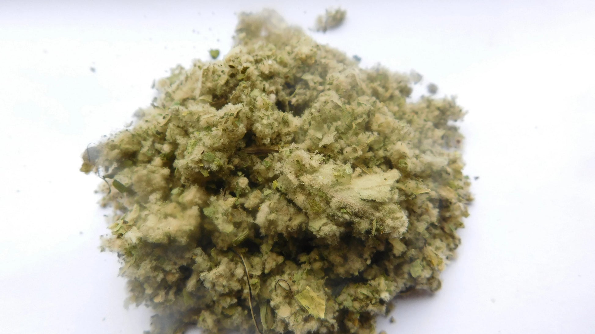 Great Mullein | Dried and chopped image 0