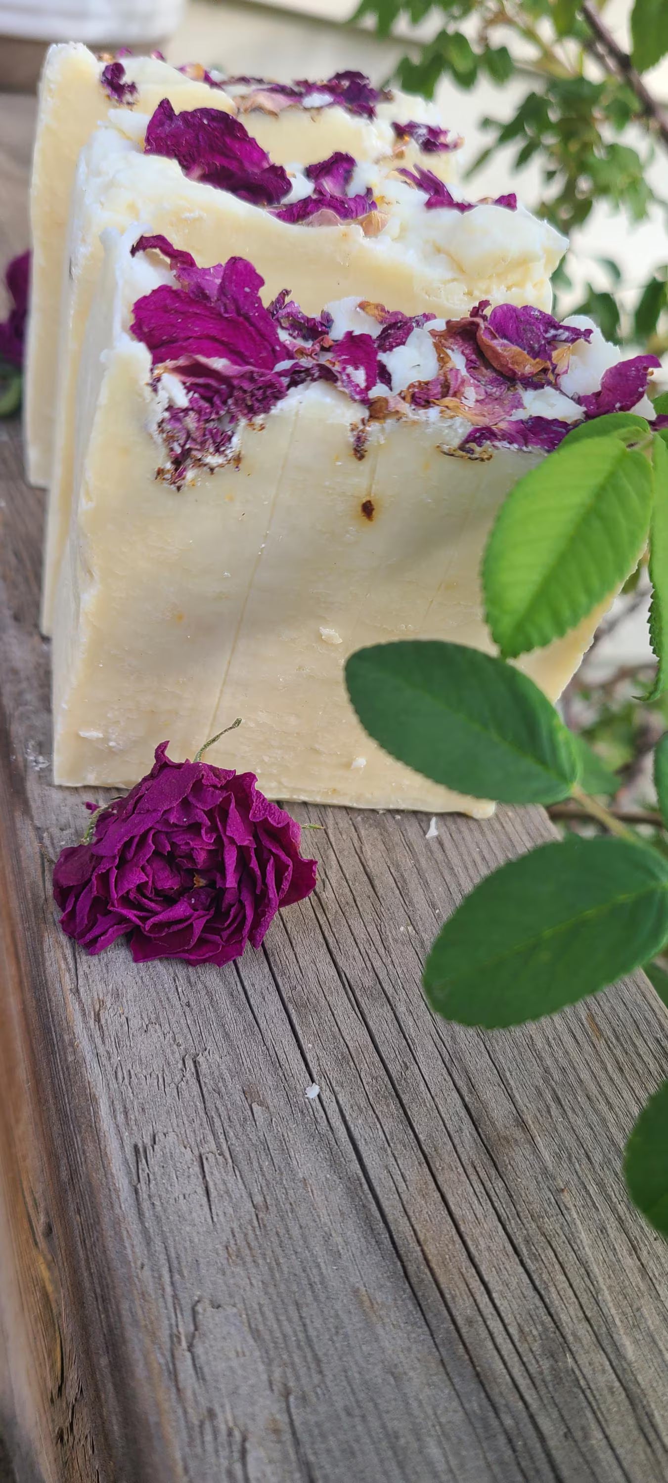 Handcrafted Rose Hip Soap / Infused Olive Oil / Coconut Oil / rose hips / rose petals