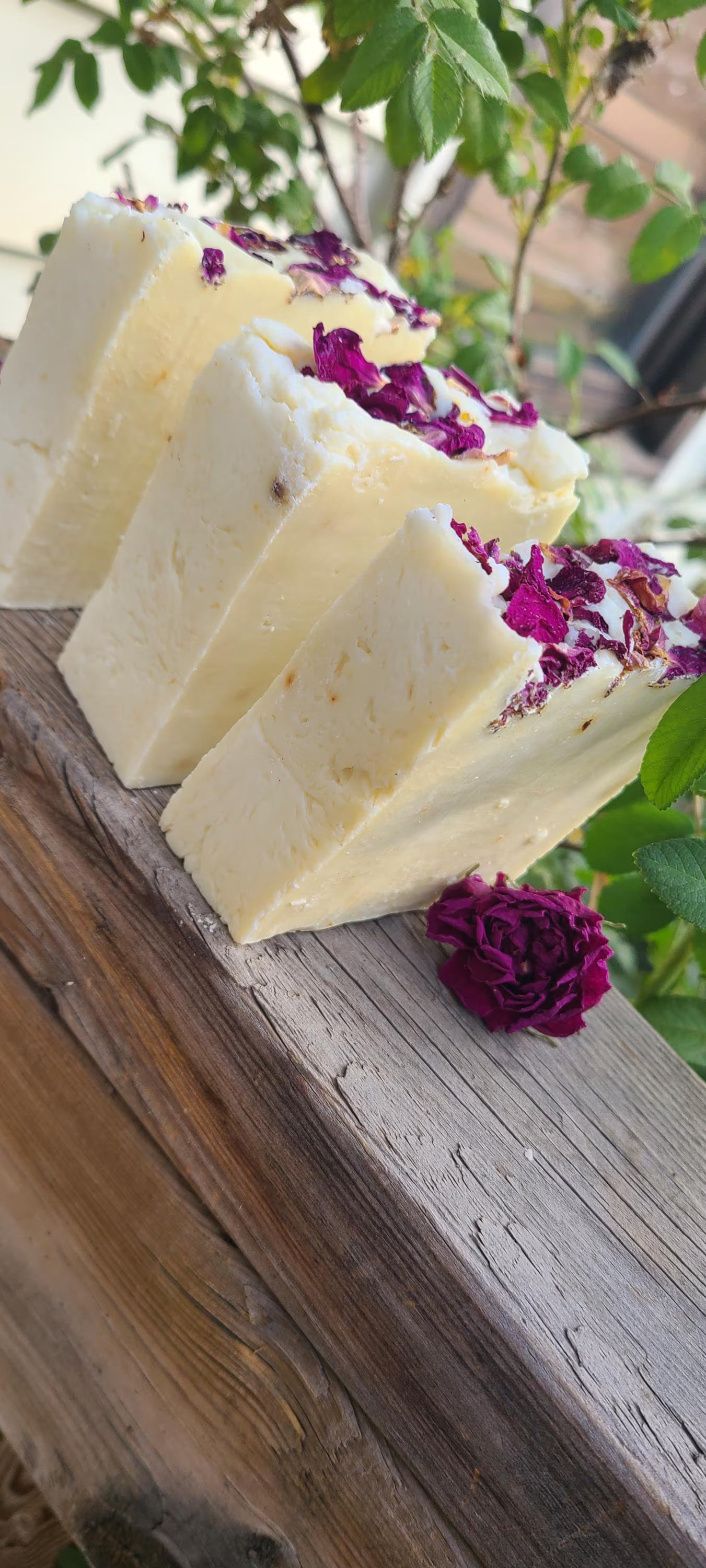 Handcrafted Rose Hip Soap / Infused Olive Oil / Coconut Oil / rose hips / rose petals