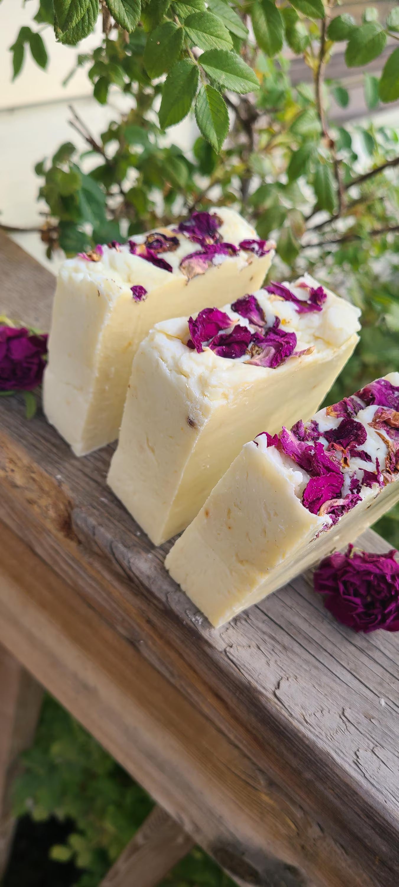 Handcrafted Rose Hip Soap / Infused Olive Oil / Coconut Oil / rose hips / rose petals