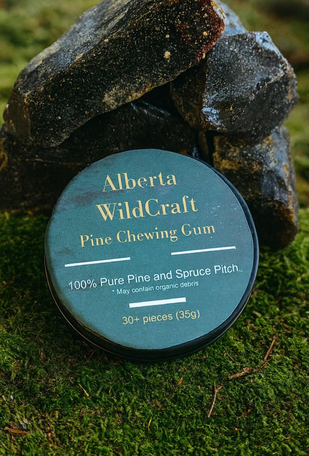 Spruce Resin Gum | Natural Pine Chewing Gum from Alberta