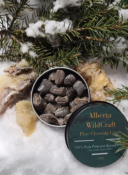 Spruce Resin Gum | Natural Pine Chewing Gum from Alberta