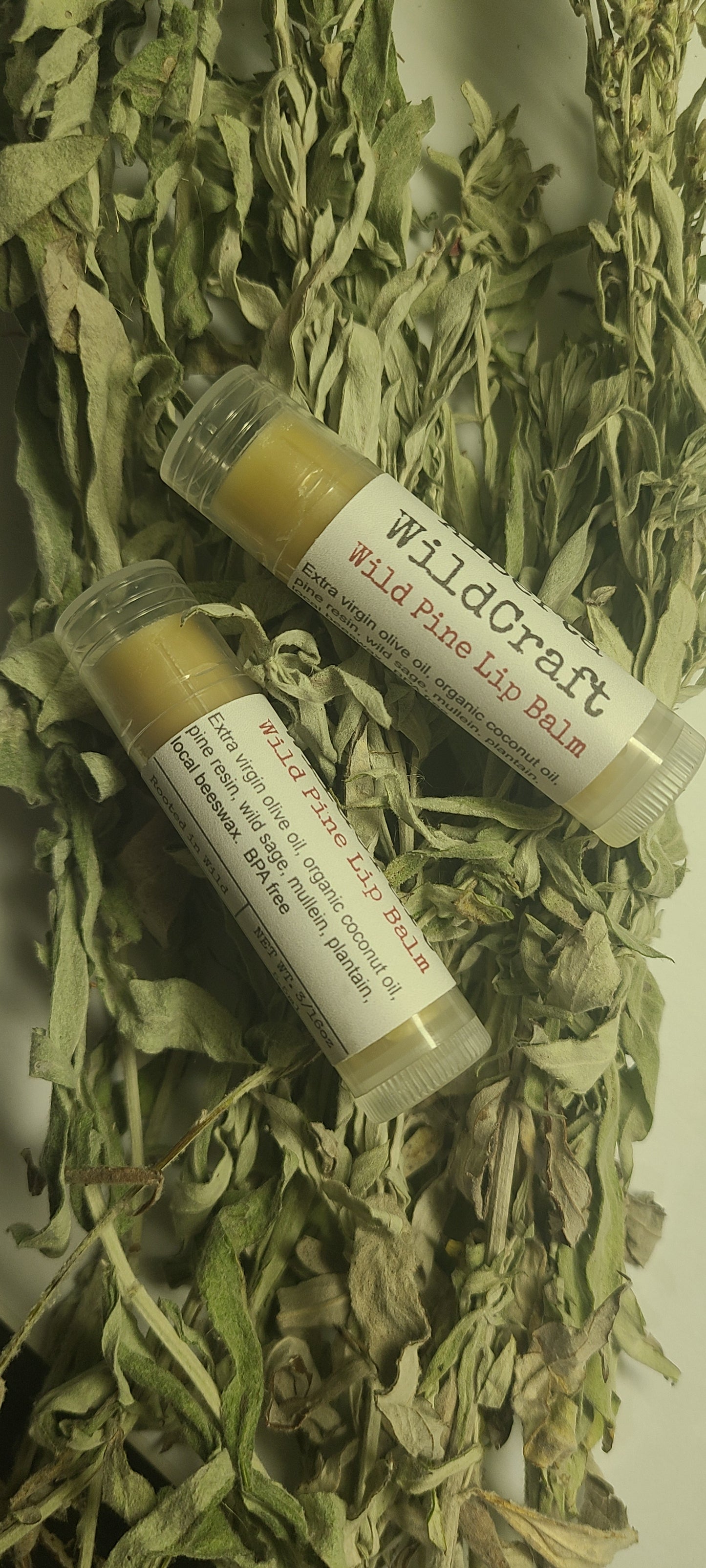 Wild Pine Lip Balm