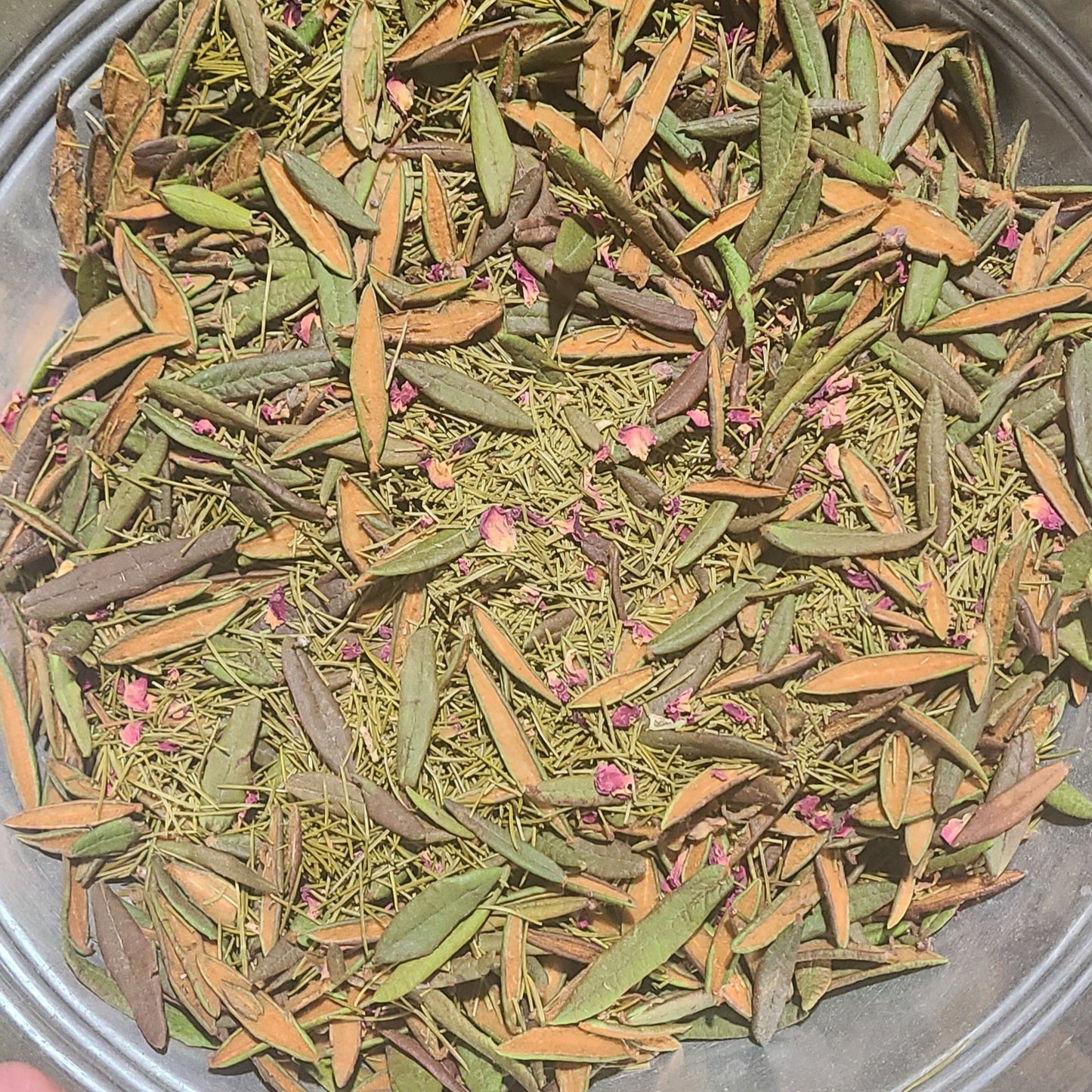 Dry green leaves in a metal container