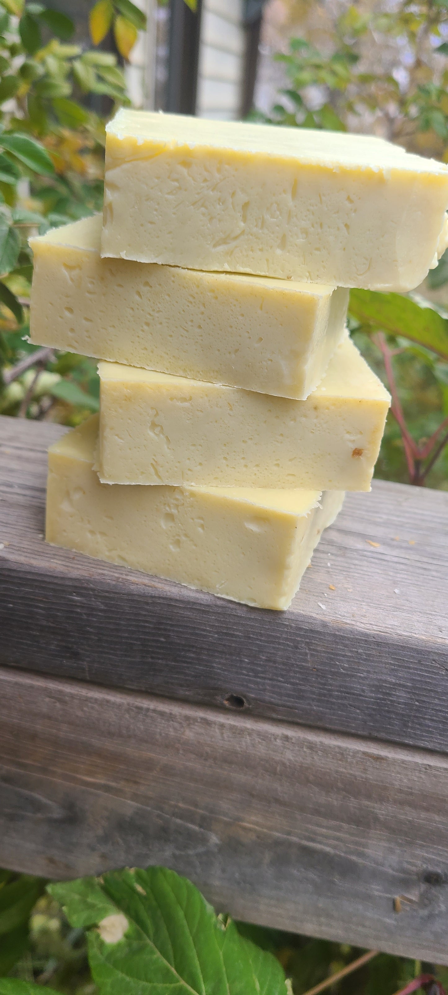 🌿 Mullein Leaf Soap-  Pure • Gentle • Wildcrafted