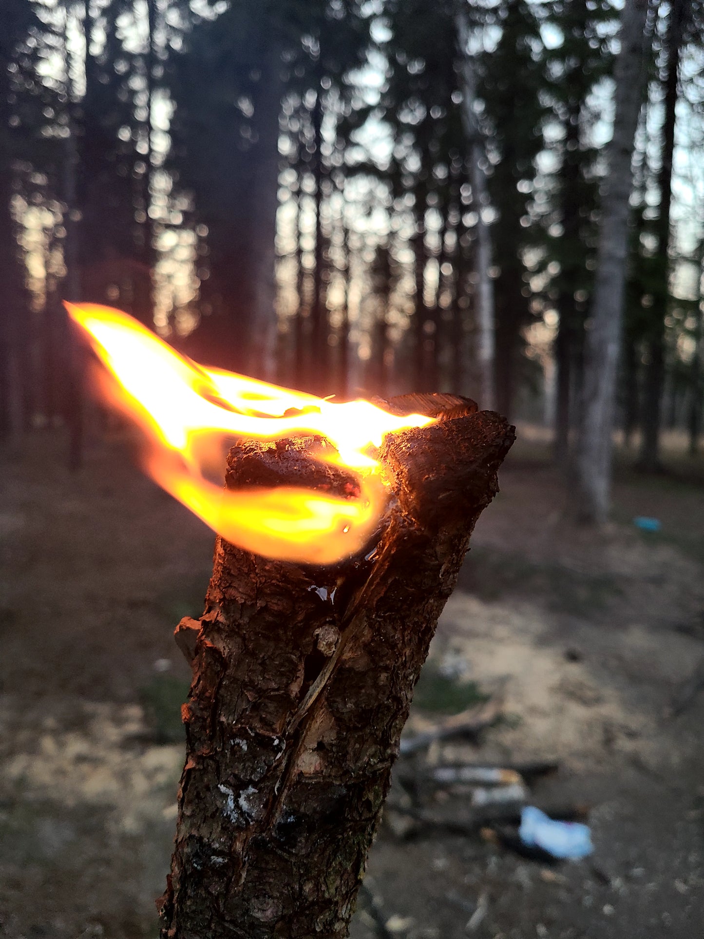 Firestarter / Resin-Soaked Bushcraft Igniters
