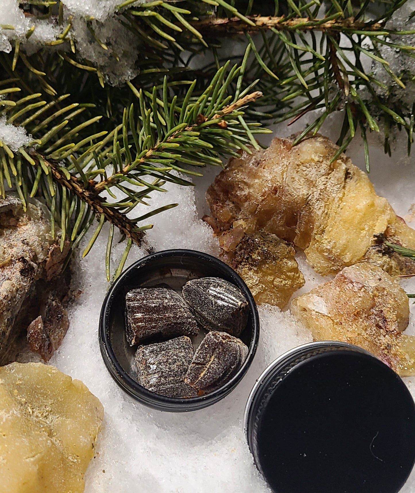 4-Piece Mini Spruce Gum Sampler Set - Alberta Wildcraft Hand-Harvested Boreal Resin Sampler.