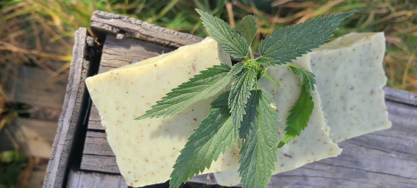 Plantain & Stinging Nettle Soap