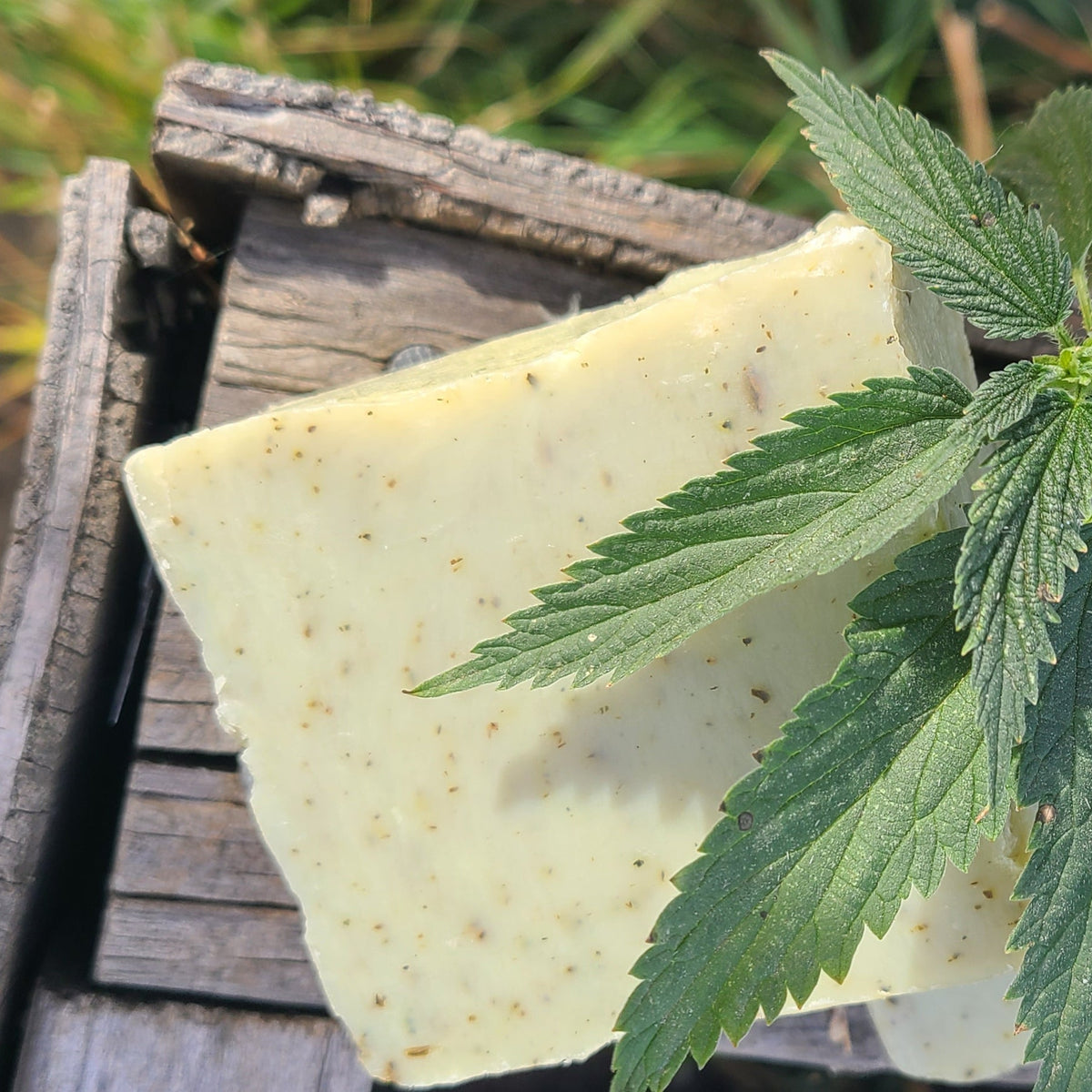 Three bars of Alberta Wildcraft plantain and stinging nettle soap outdoors