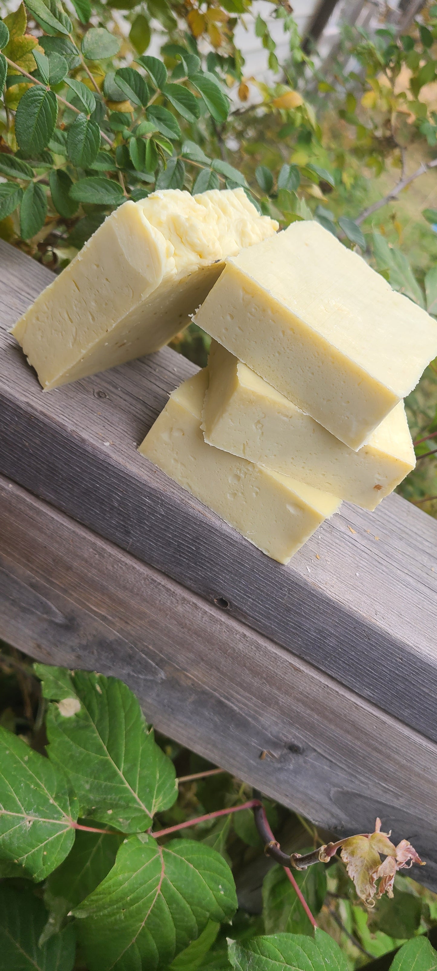 🌿 Mullein Leaf Soap-  Pure • Gentle • Wildcrafted