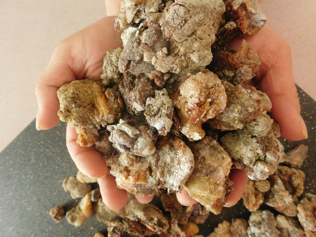We Talk About Fair-Trade Coffee. Maybe It’s Time We Talk About Fair-Trade Wildcrafting.