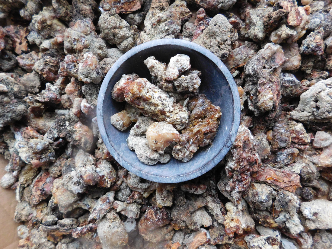 Part 4: How to Harvest And Filter Resin Pitch