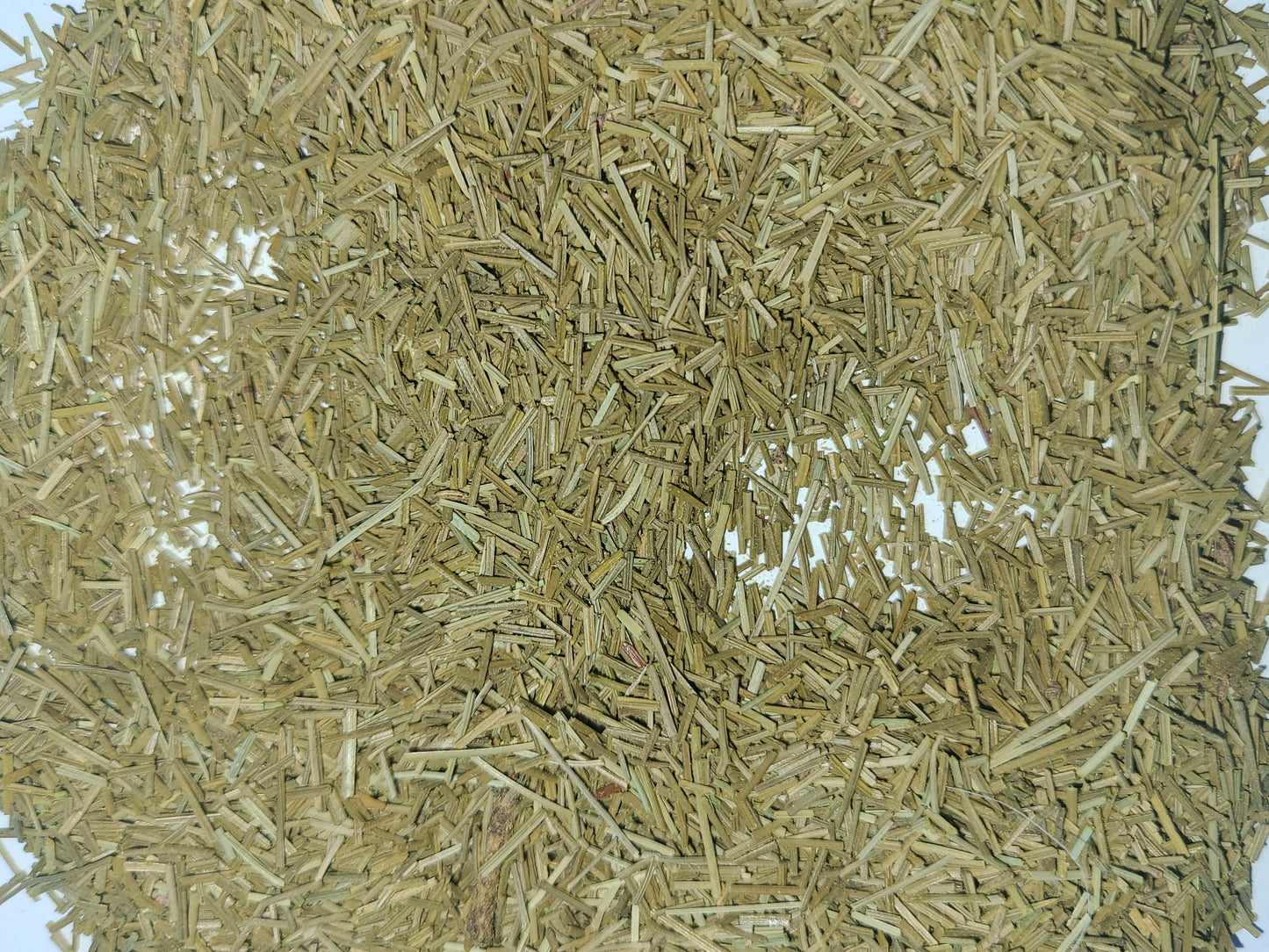 White Pine Needle Tea  | Caffeine-Free | Vitamin C-Rich image 4