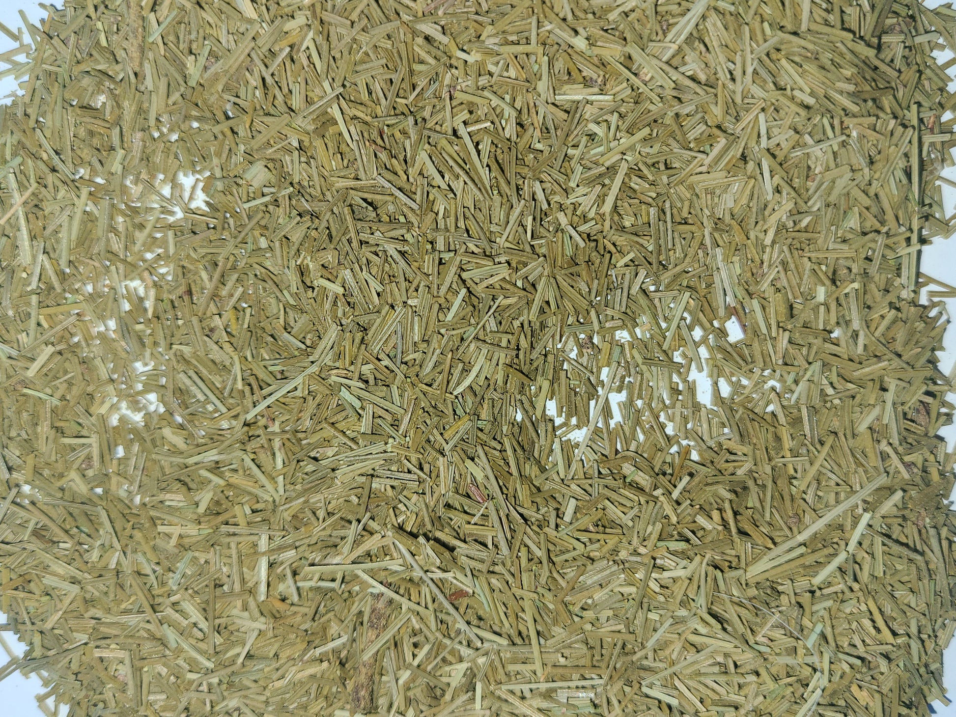 White Pine Needle Tea  | Caffeine-Free | Vitamin C-Rich image 4