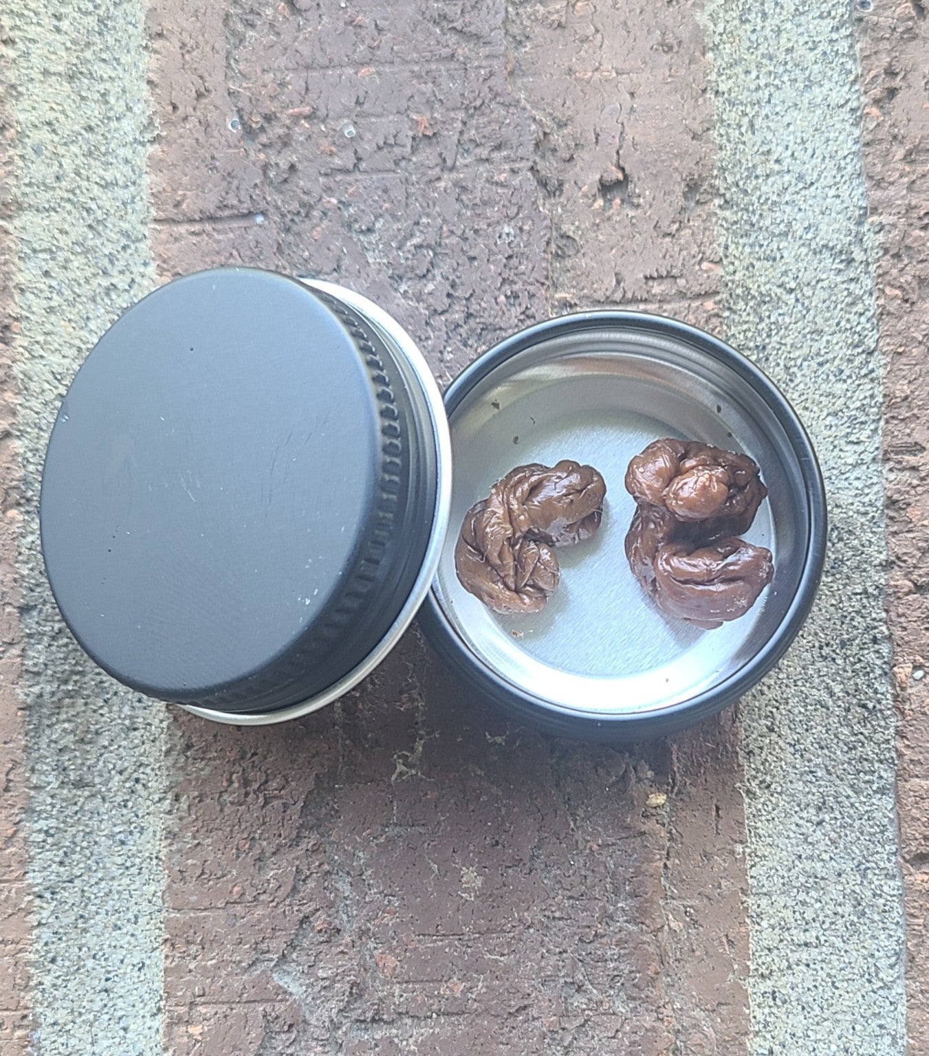 Chew Cache | Reusable Spruce Gum Storage Tin