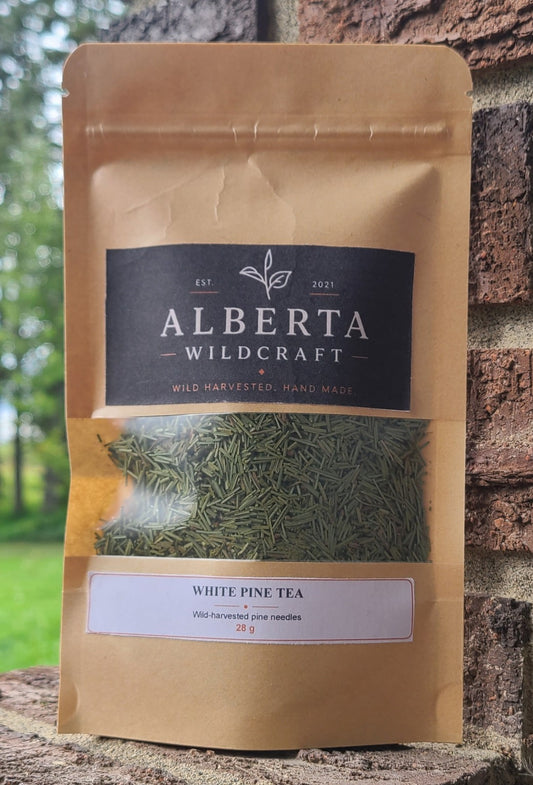 White Pine Needle Tea  | Pinus strobus | BC Harvested