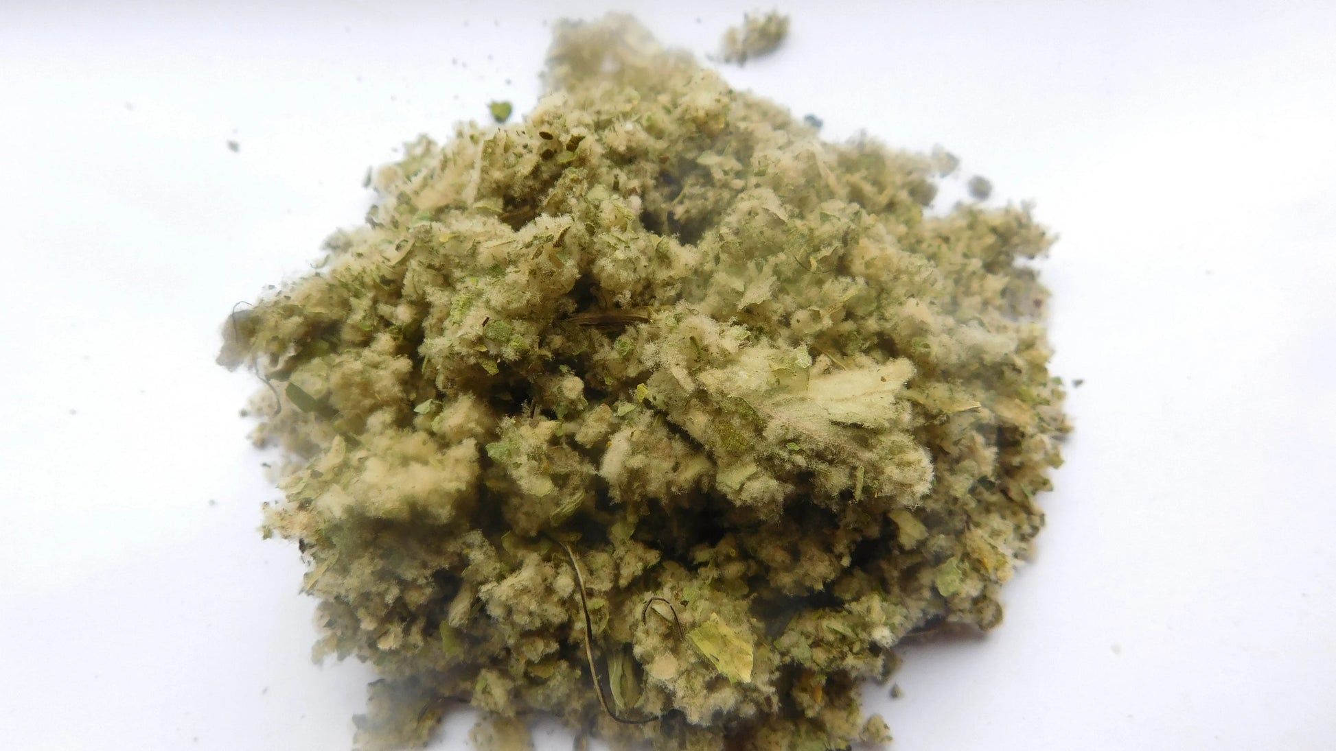 Great Mullein | Dried and chopped image 1