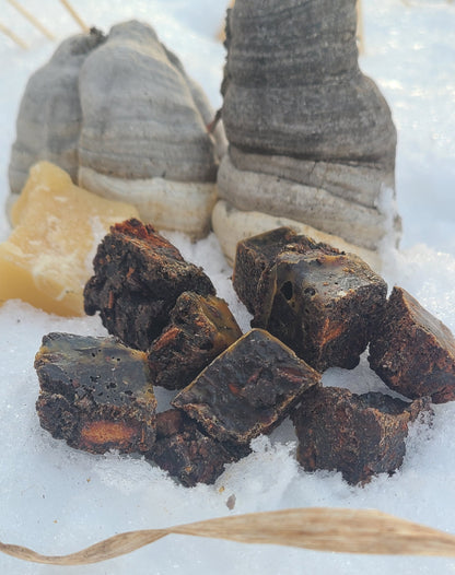 Wild resin and tinder conk EMBERBORN firestarter cubes