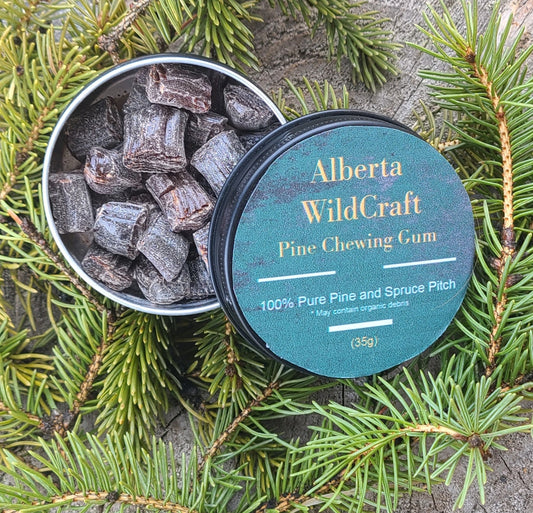 Canadian Spruce Gum (35g Tin)