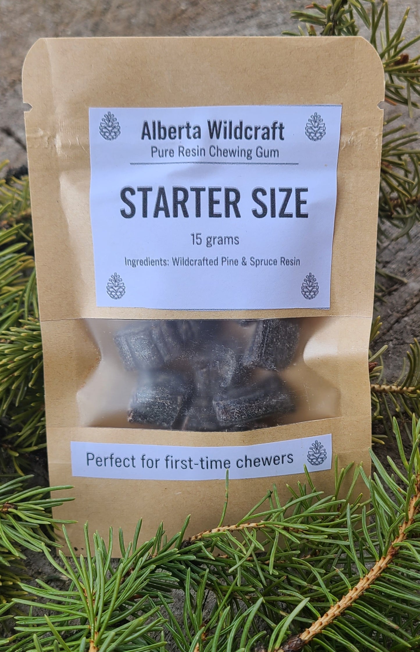 Canadian Spruce Gum - Starter Size (15g)