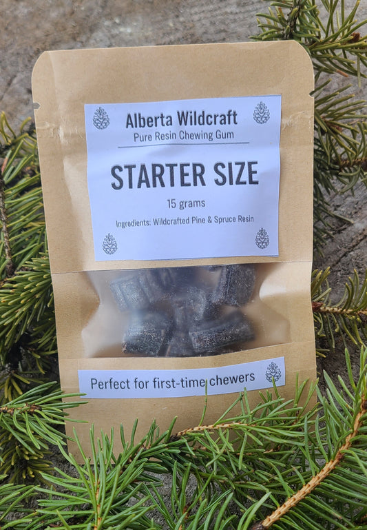 Canadian Spruce Gum - Starter Size (15g)