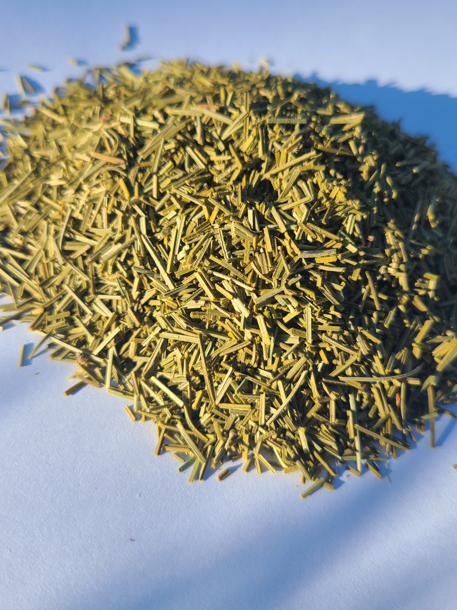 White Pine Needle Tea  | Caffeine-Free | Vitamin C-Rich image 0