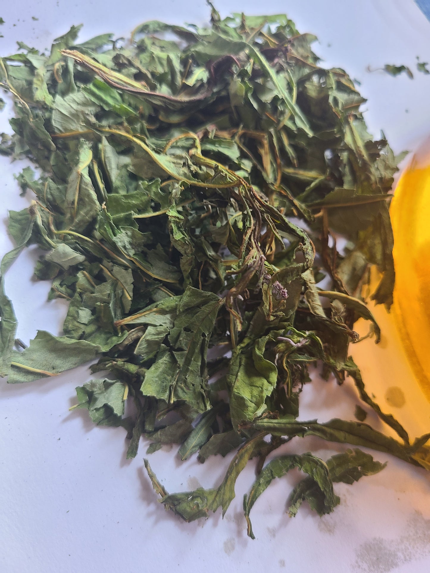 Fermented Fireweed Herbal Tea / Ivan Chai image 2