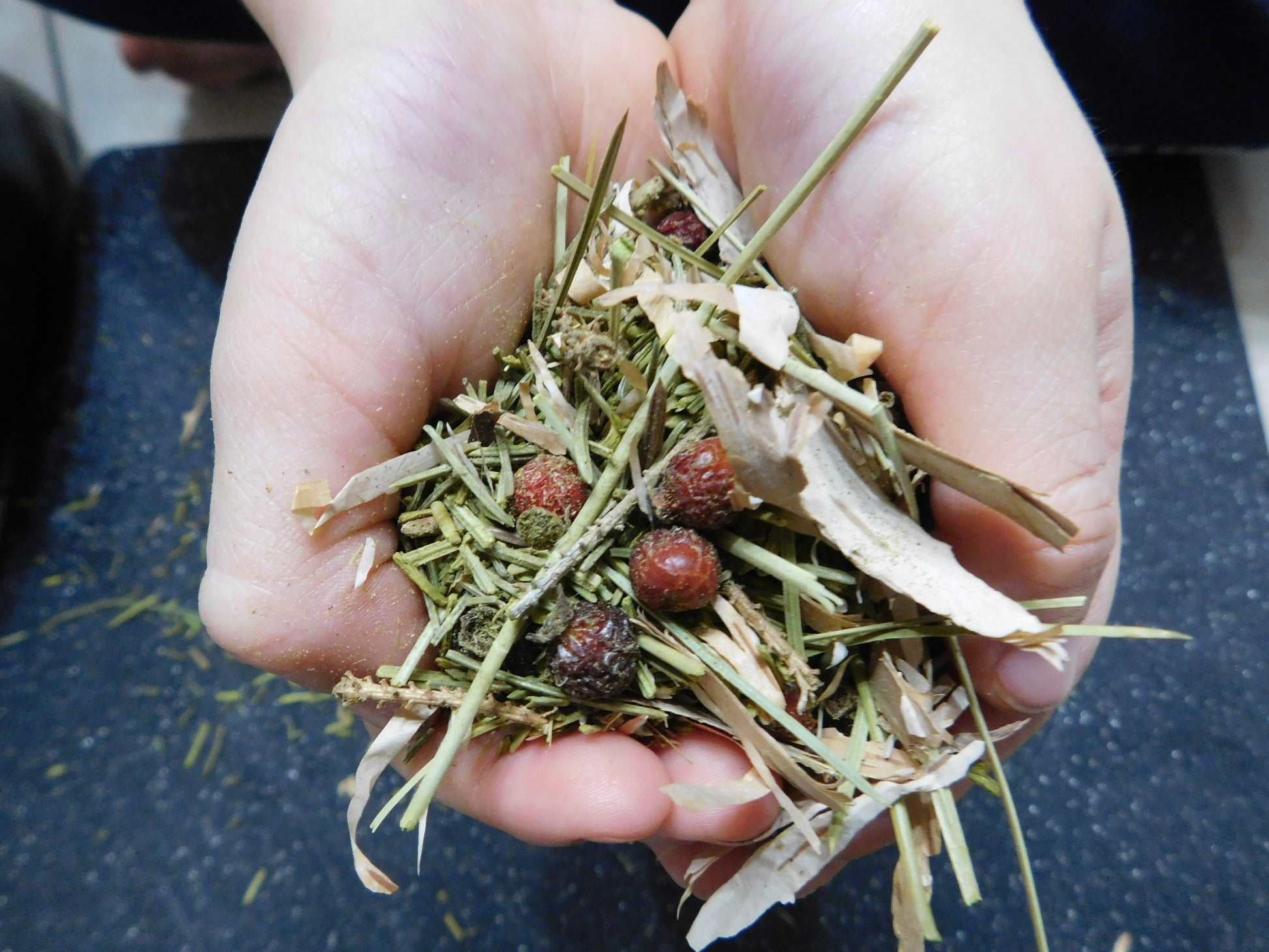 Boreal Blend herbal tea image 1