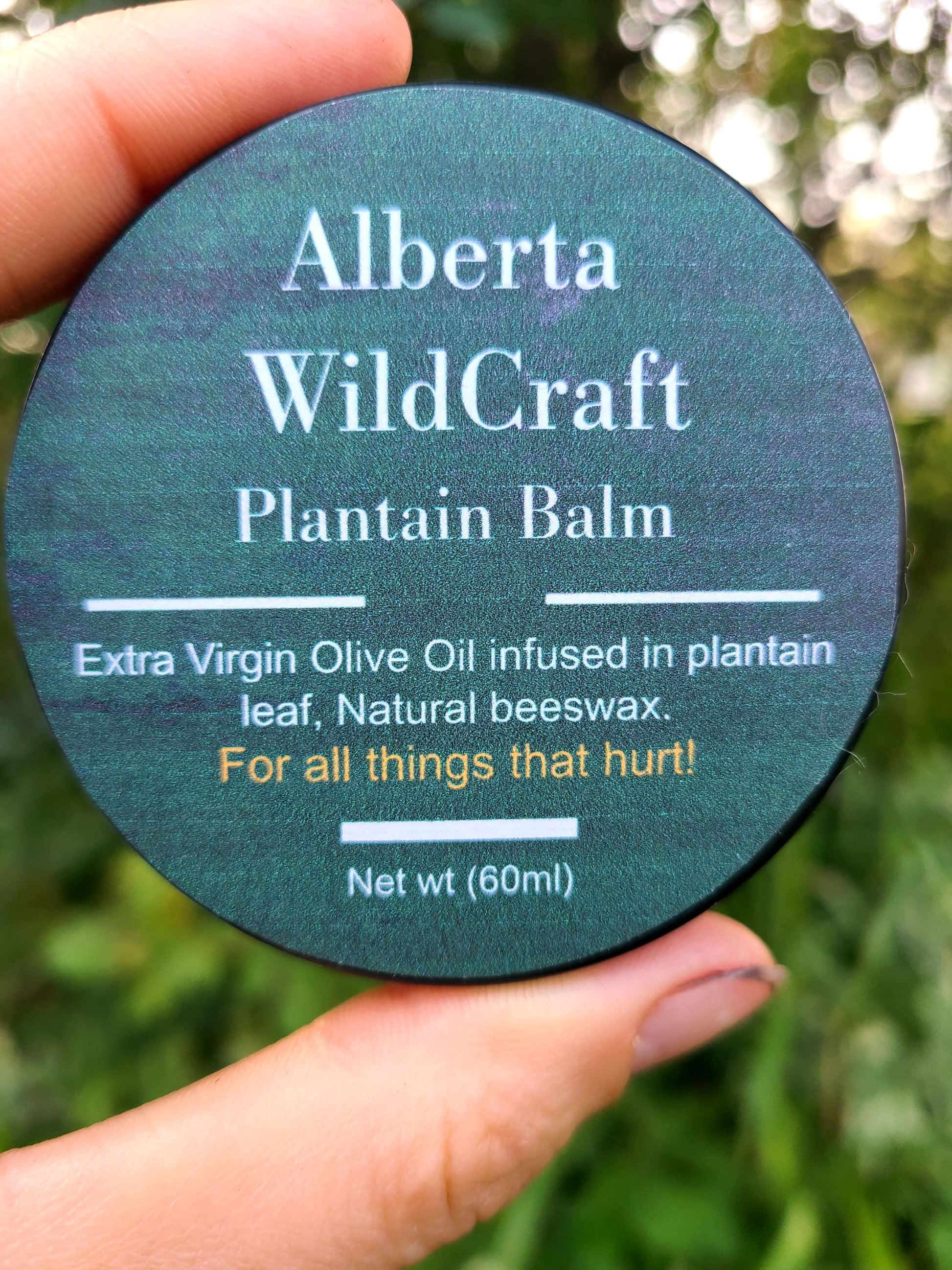 Plantain Herbal Balm image 0