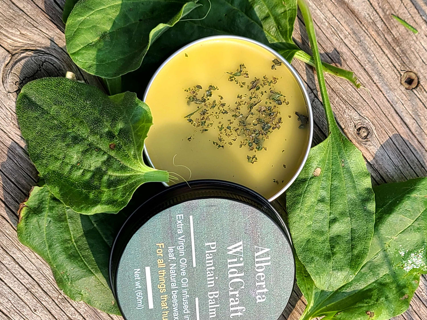 Plantain Herbal Balm image 1