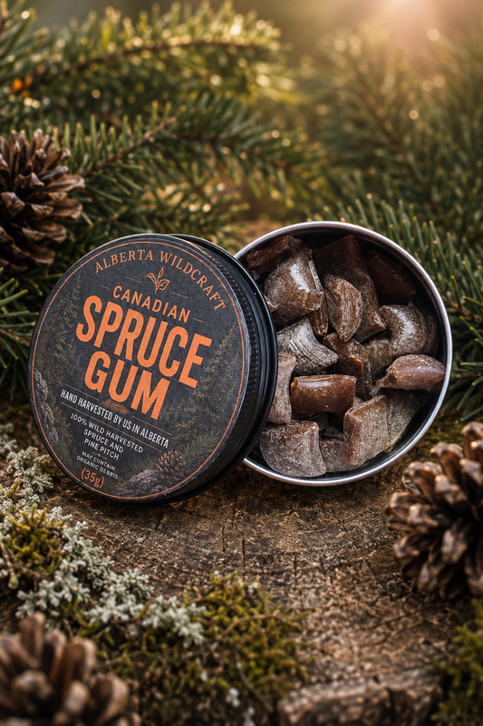 Canadian Spruce Gum (35g Tin)
