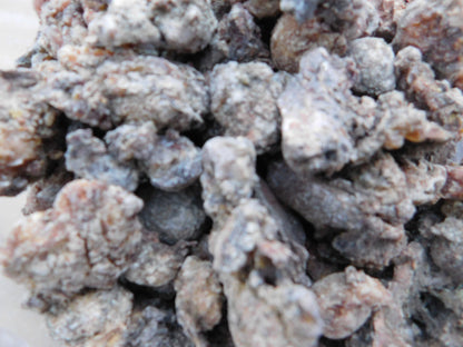 close up of raw spruce resin and gum