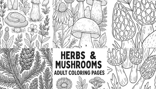 Herbs & Mushrooms – A Wildcrafted Adult Colouring Pack (7 Pages)