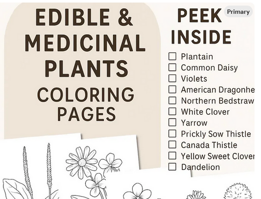 Urban Herb Hunt for Kids – Printable Coloring Book + Nature Activity Page