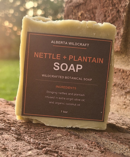 Plantain & Stinging Nettle Soap