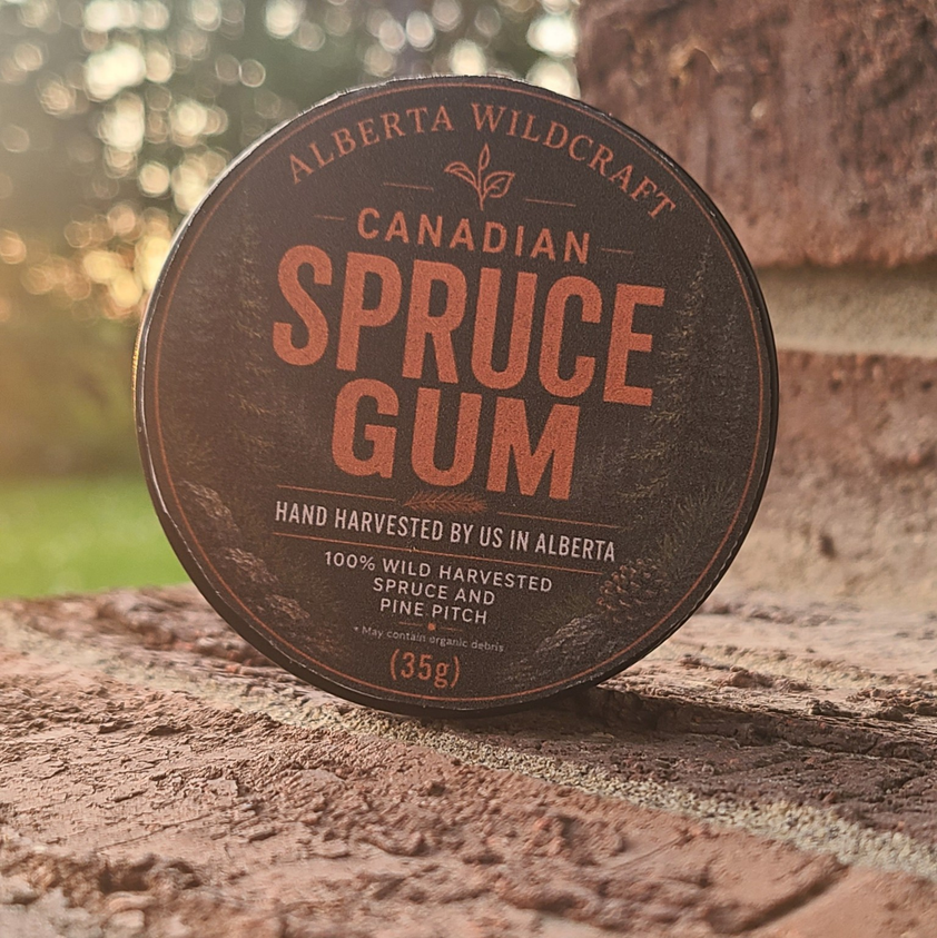 Canadian Spruce Gum (35g Tin)