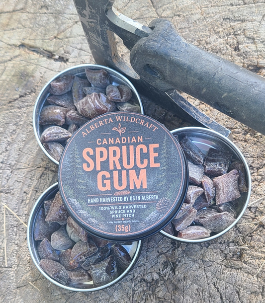 Canadian Spruce Gum  (4- Tin Bundle)